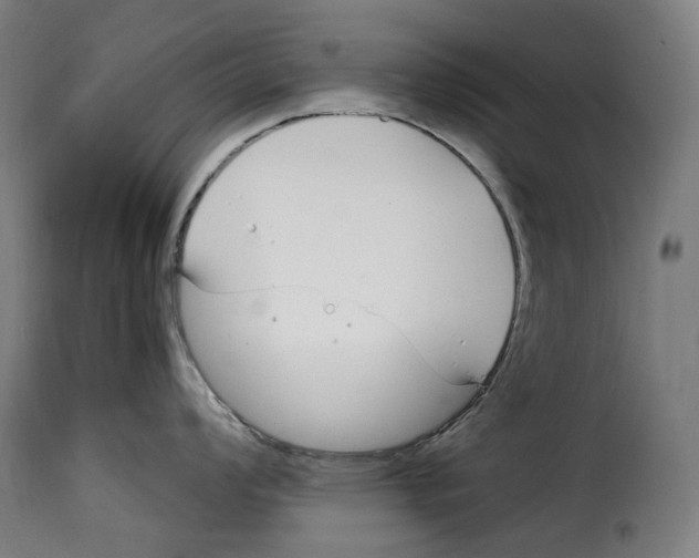 X0000115001008200911231200