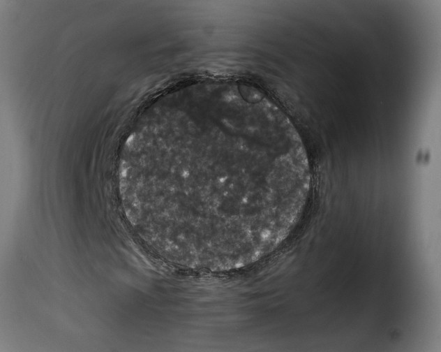 X0000115001009200911231159