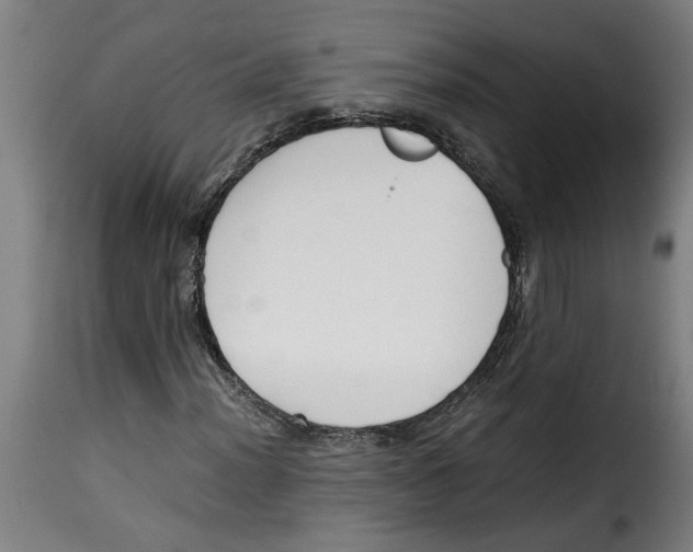 X0000115001012200911231159