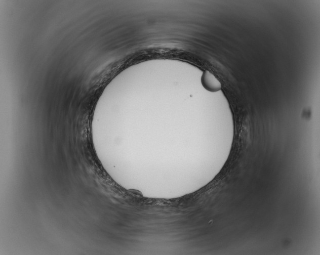 X0000115001014200911231159