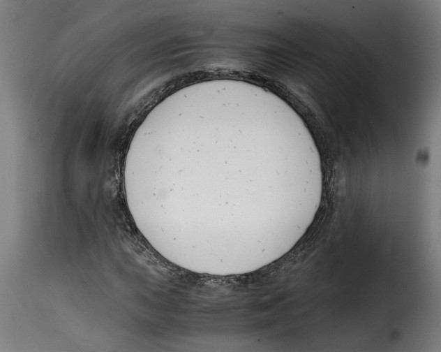 X0000115001015200911231159