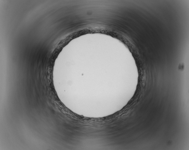 X0000115001016200911231159