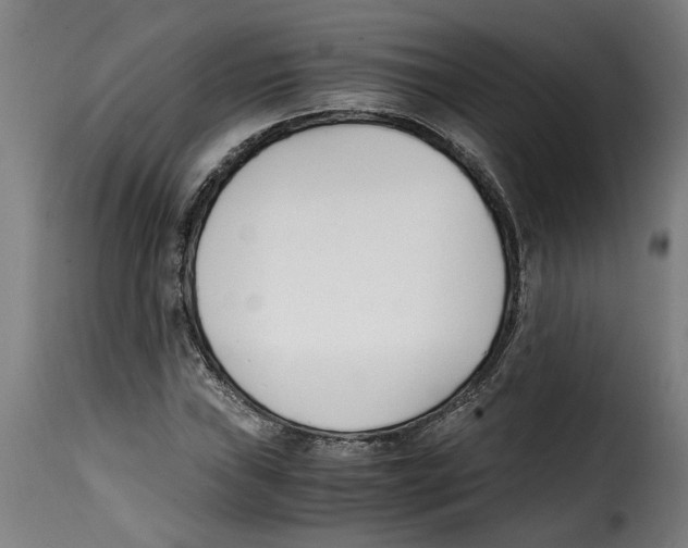 X0000115001019200911231159