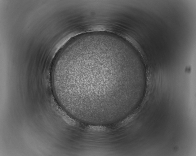 X0000115001023200911231200