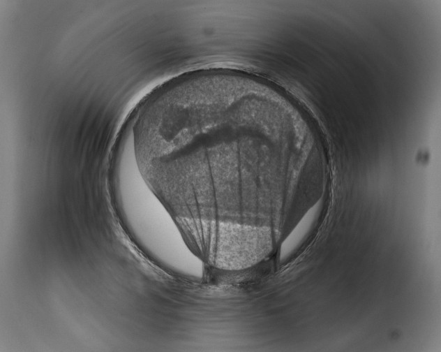 X0000115001024200911231200