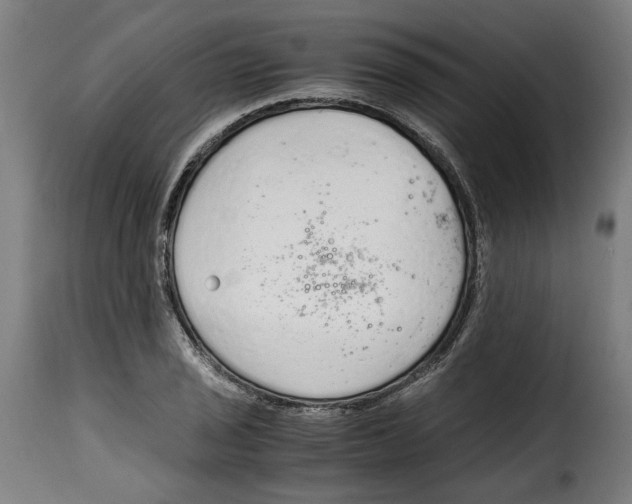 X0000115001029200911231200