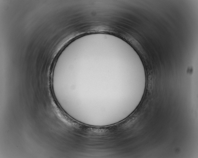 X0000115001039200911231200