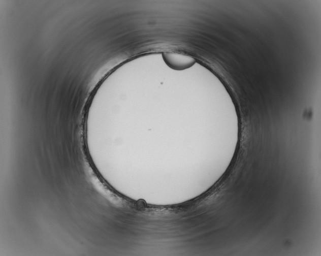 X0000115001042200911231200