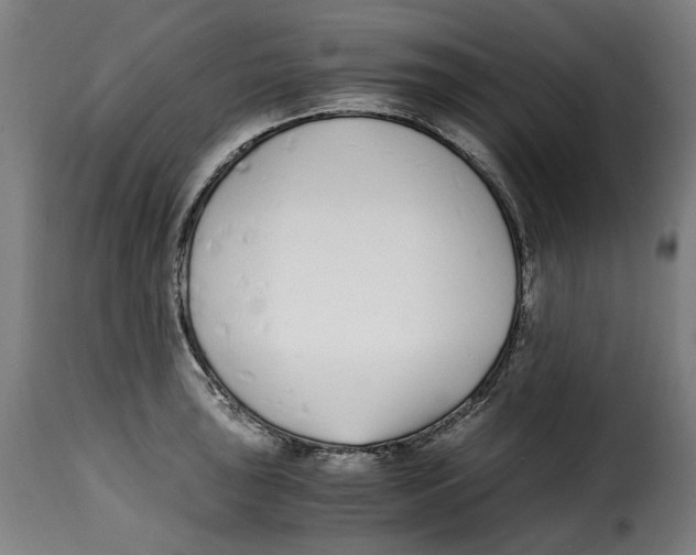 X0000115001043200911231200