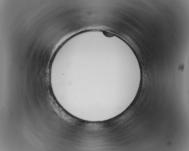 X0000115001044200911231200