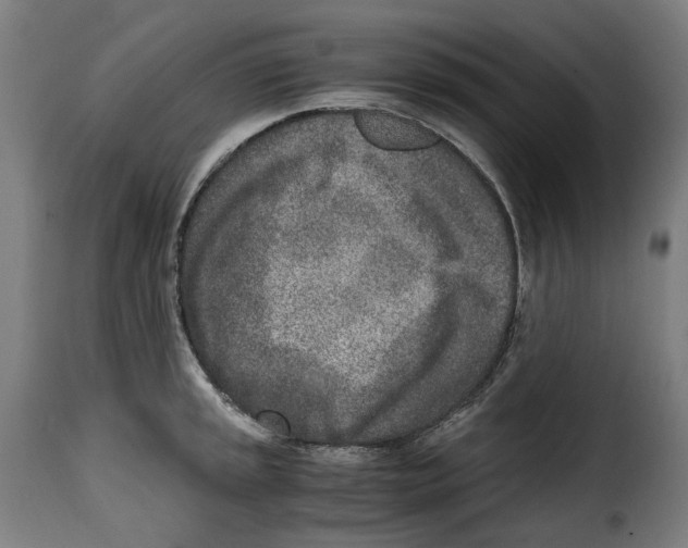 X0000115001045200911231200