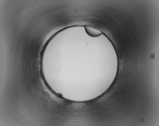 X0000115001046200911231200