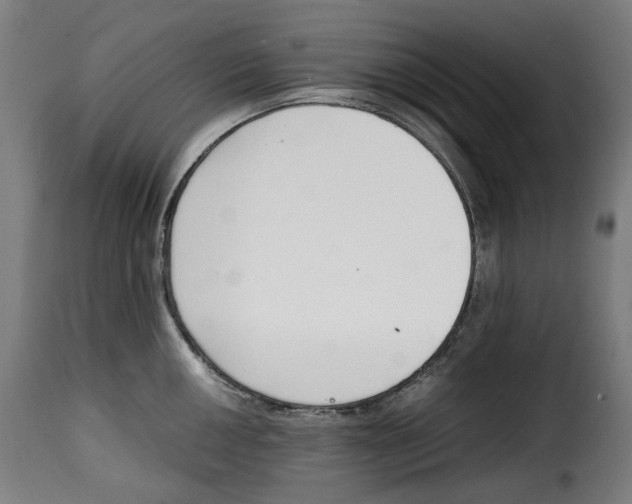 X0000115001050200911231200