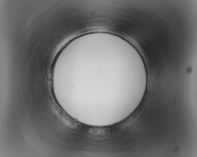 X0000115001051200911231200