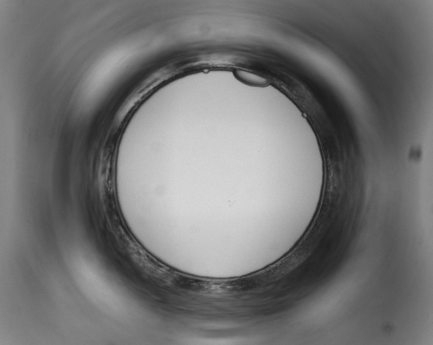 X0000115001052200911231200