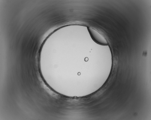 X0000115001054200911231200