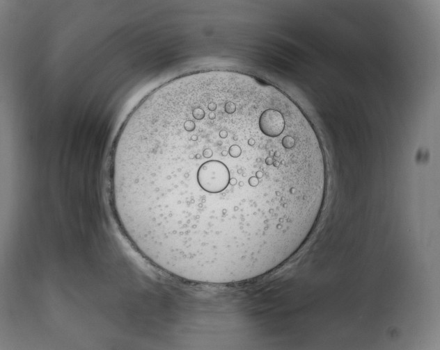 X0000115001056200911231200