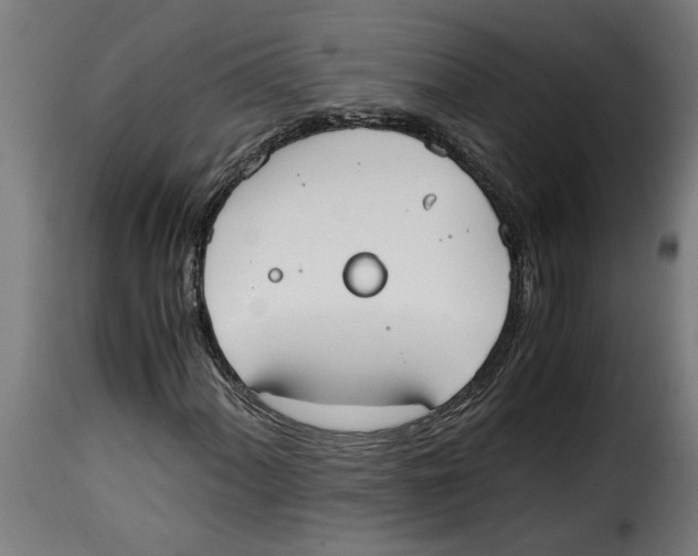 X0000115001060200911231159