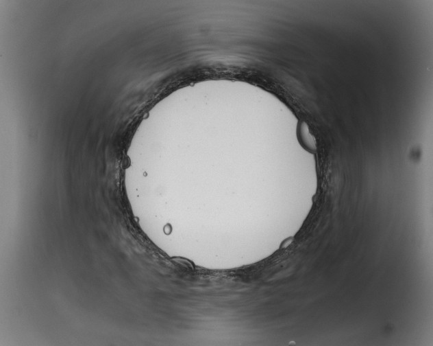 X0000115001061200911231159