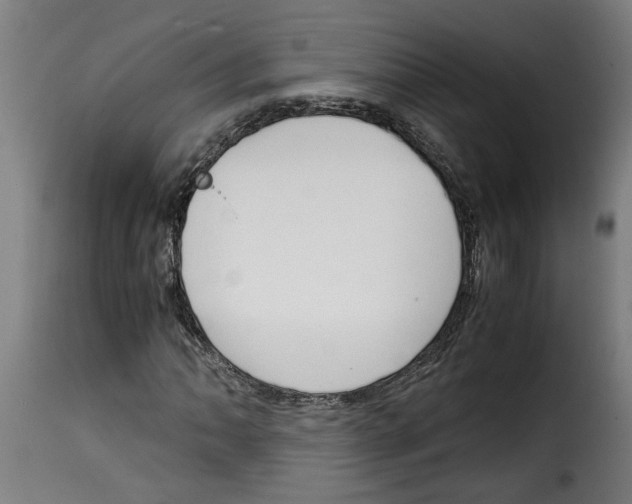 X0000115001062200911231159