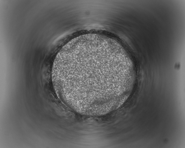 X0000115001063200911231159