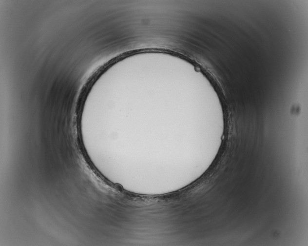 X0000115001072200911231159