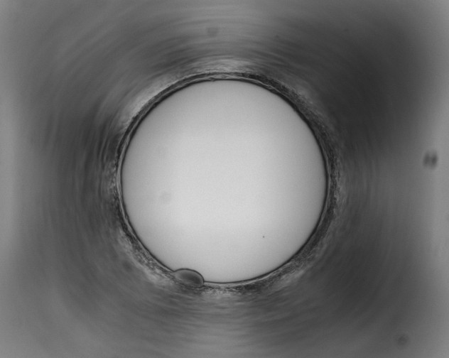 X0000115001073200911231159