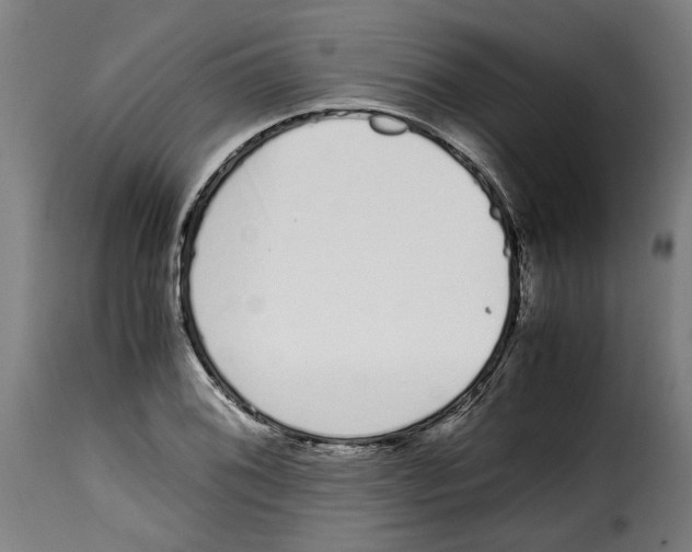 X0000115001076200911231159