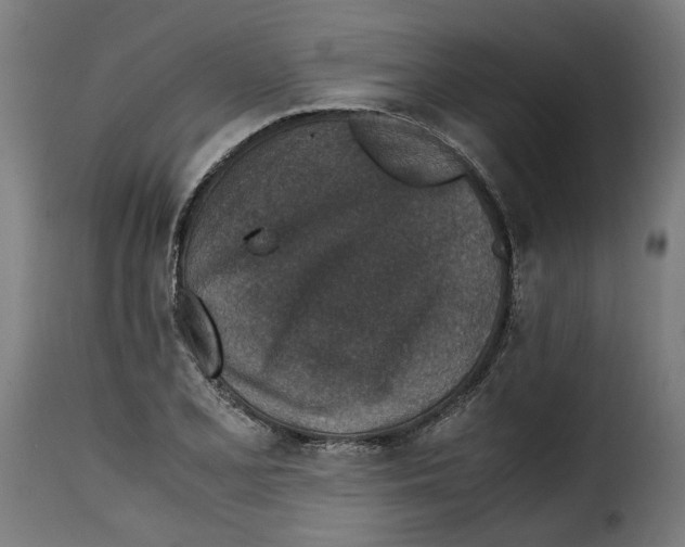 X0000115001077200911231159