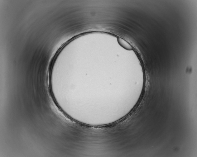 X0000115001080200911231159