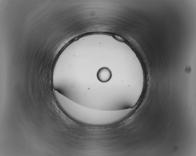 X0000115001081200911231159