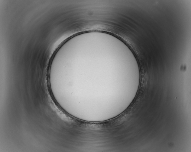 X0000115001086200911231159