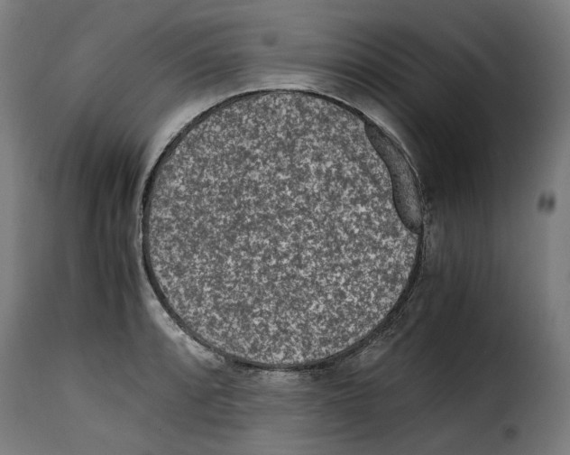 X0000115001088200911231159