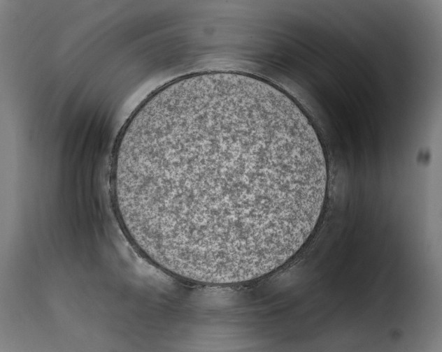 X0000115001094200911231159