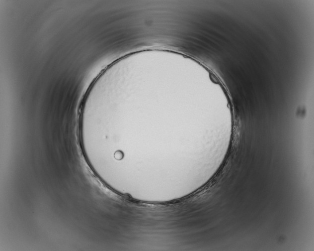 X0000115001096200911231159