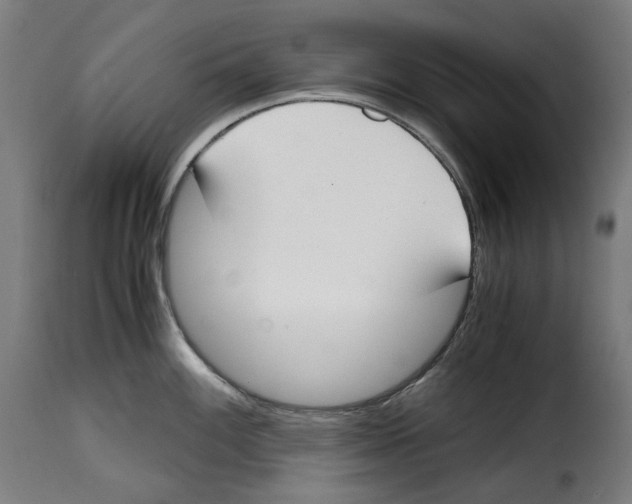 X0000115001100200911231159