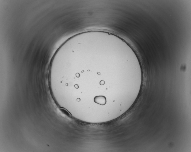 X0000115001102200911231159