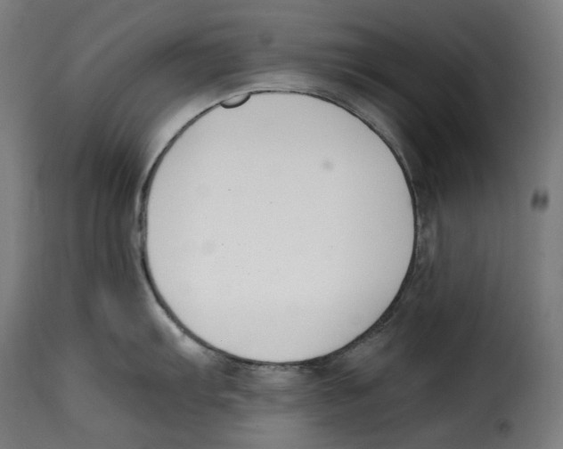 X0000115001103200911231159