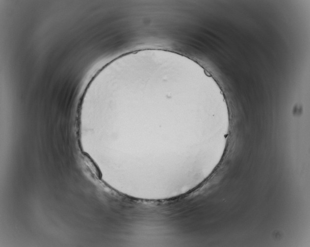 X0000115001104200911231159