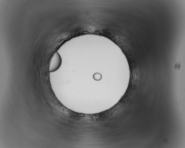 X0000115001105200911231158