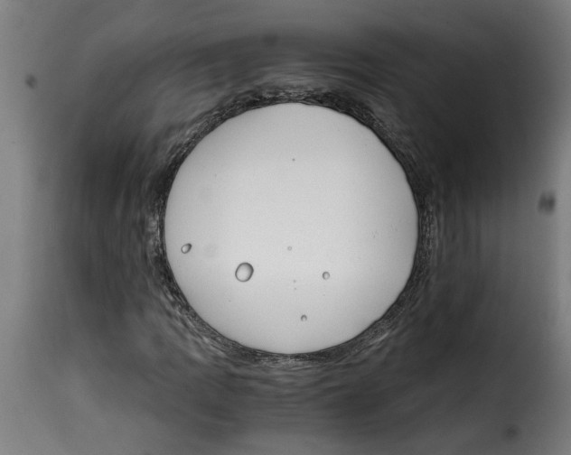 X0000115001109200911231158