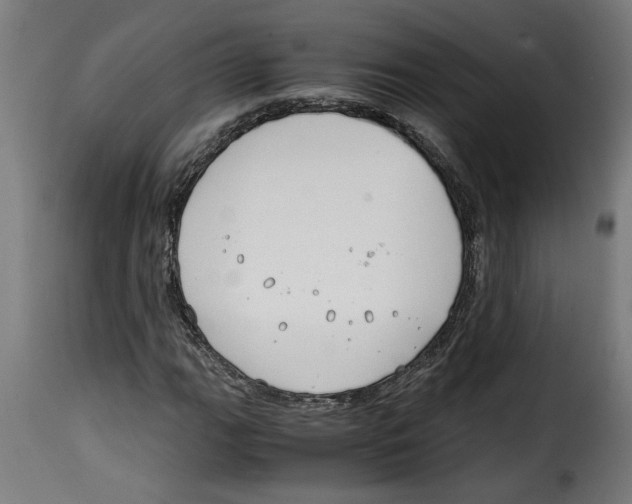 X0000115001111200911231158