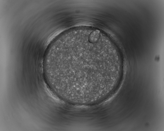 X0000115001113200911231158