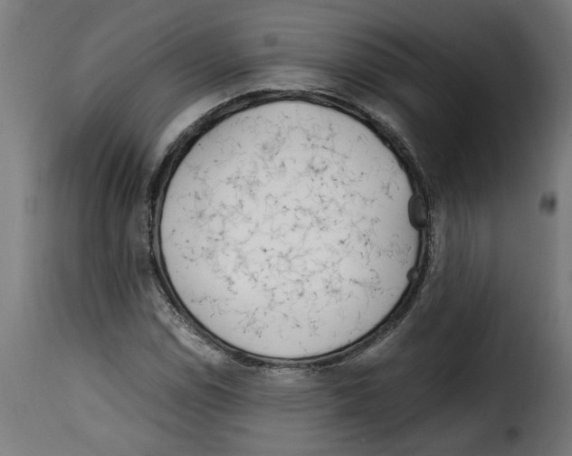 X0000115001114200911231158