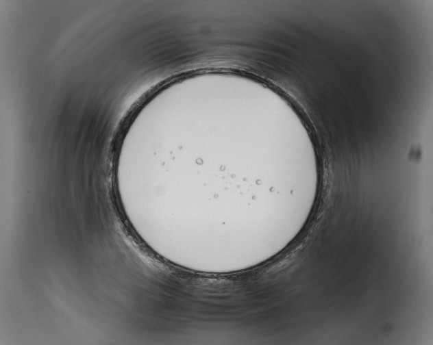 X0000115001119200911231158