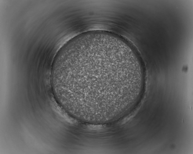 X0000115001121200911231158