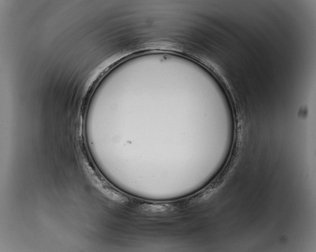 X0000115001125200911231158