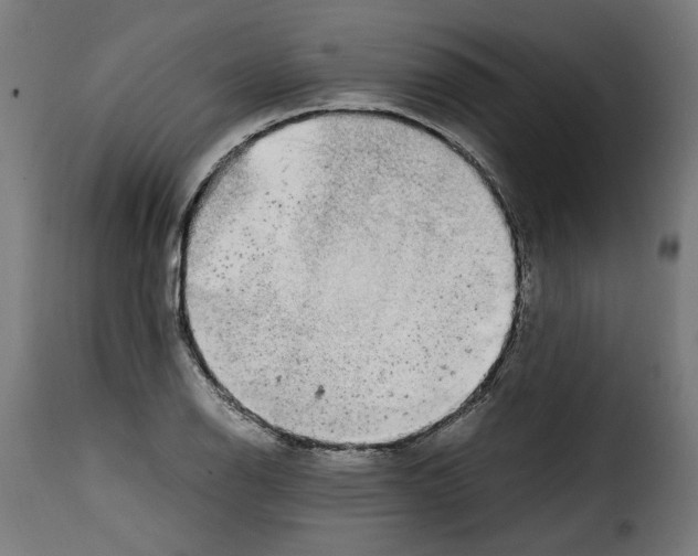 X0000115001126200911231158