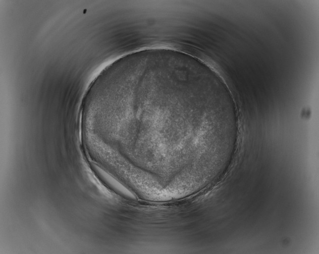 X0000115001127200911231158