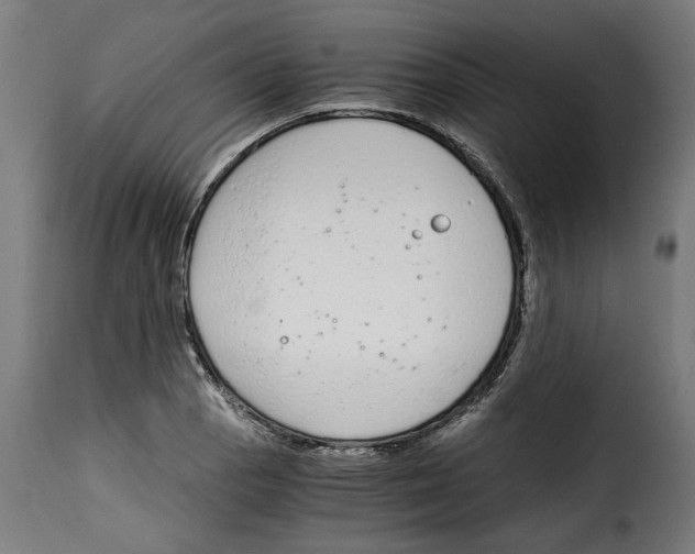 X0000115001129200911231158